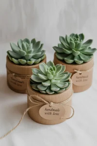 DIY Succulent Candles Three small potted succulent candle gift in burlap-wrapped pots, arranged on a light surface.